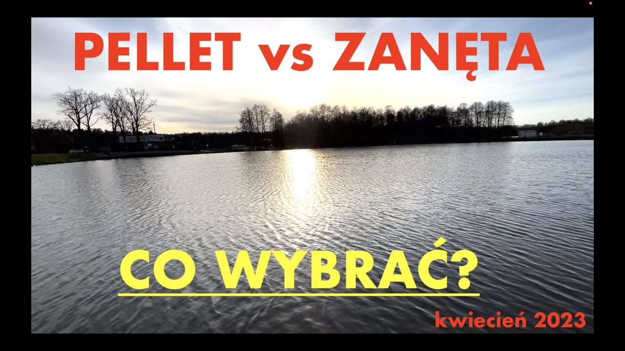 Pellet czy Zanęta? Karpie na Method Feeder i Feeder Klasyczny na stawie. Łowisko Koszelewy