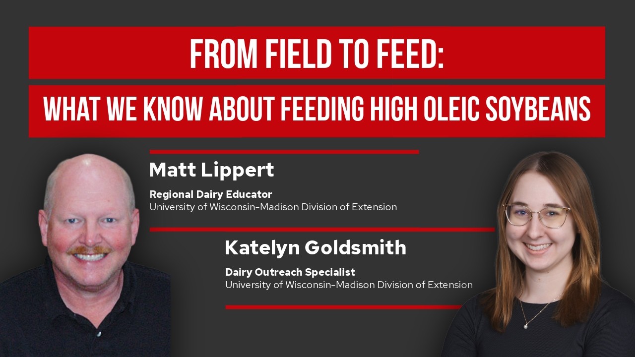 From Field to Feed: What We Know about Feeding High Oleic Soybeans