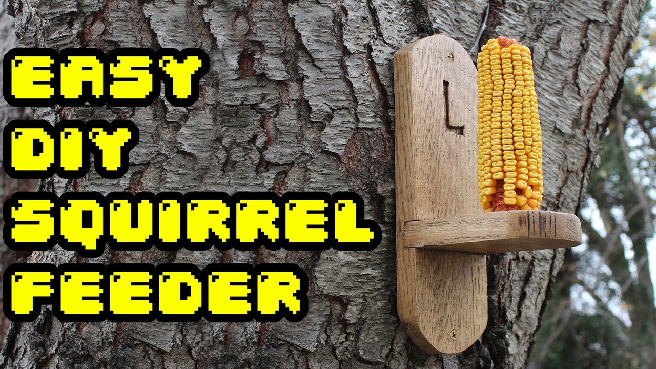 Gettin' Squirrely - Easy DIY Squirrel Feeder