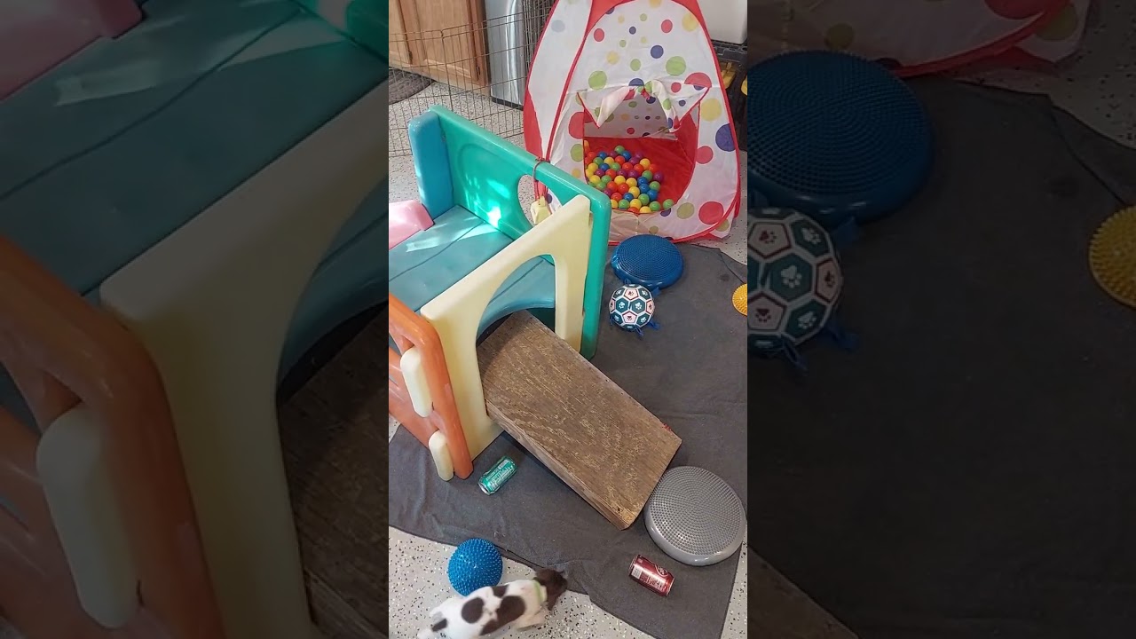 Reagan x Porter-  Week 6