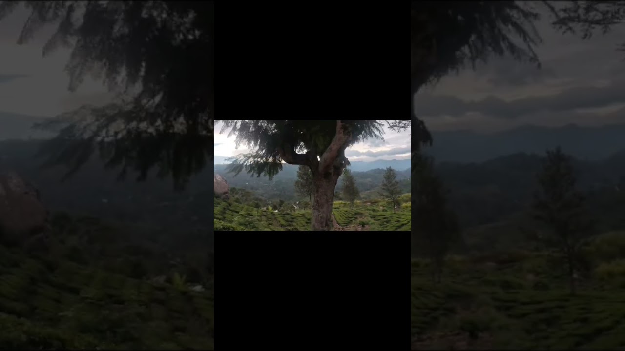 Вечернее волшебство Хапутале 🌄✨ | Прогулка сквозь золотой туман 