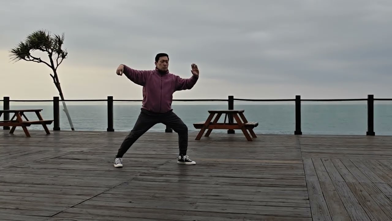 Taichi im Yang Stil - interpretiert von Wei-Feng Chiang