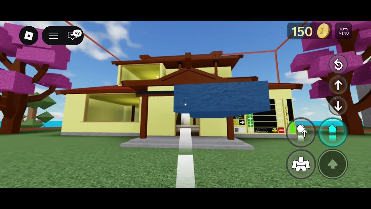 Дүүтэйгээ хамт тоглосон ❤️