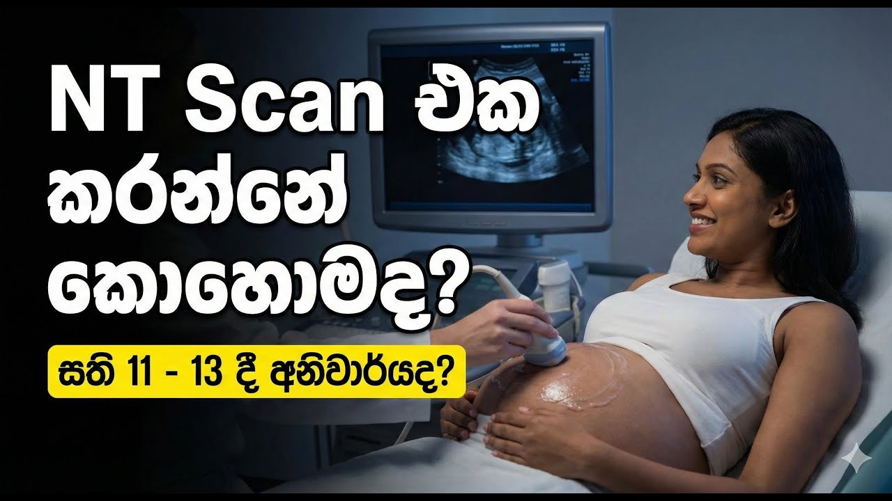 NT Scan එක ගැන ඔබ දැනගත යුතුම දේ | ගර්භණී කාලයේ වැදගත්ම ස්කෑන් එක (Weeks 11-13)
