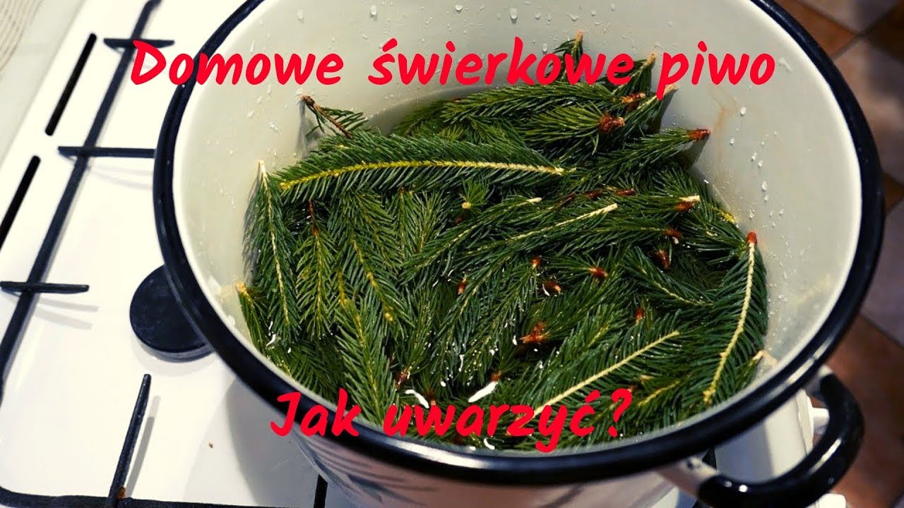 Warzenie piwa w domu: Świerkowe IPA #świerkowepiwo #domowepiwo #piwowarstwodmowe