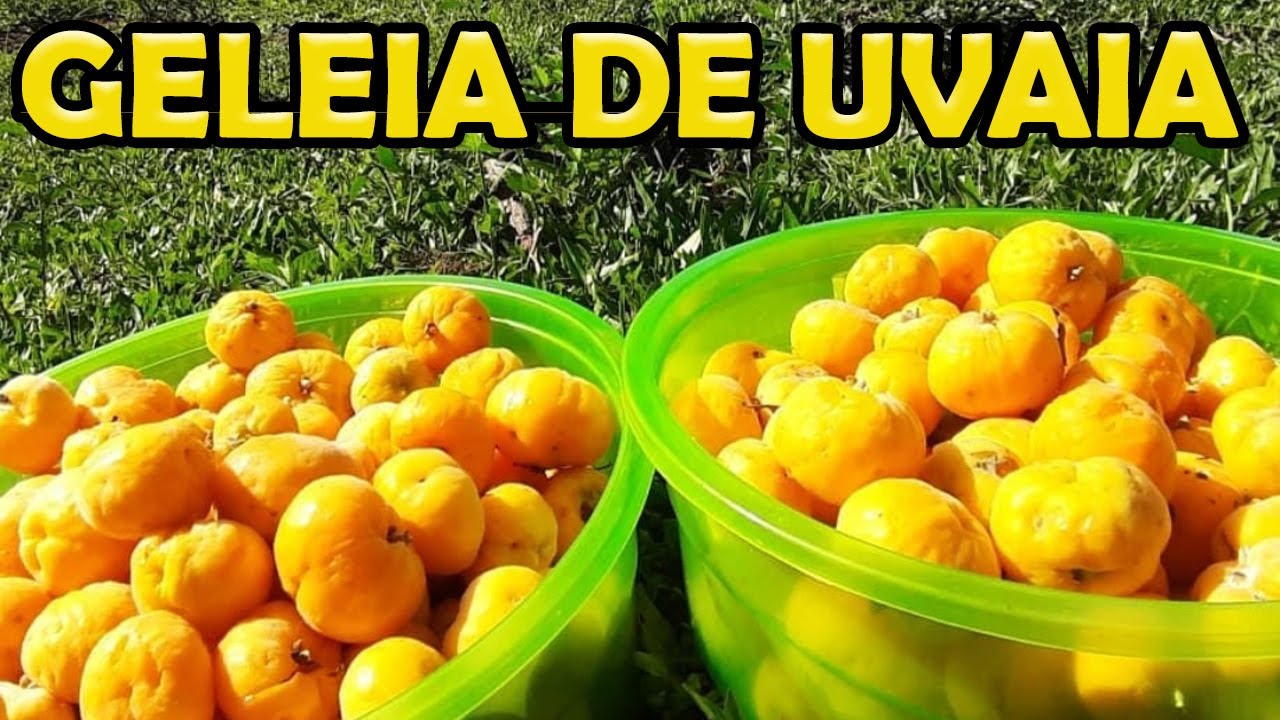 Como Fazer Geleia de Uvaia | Receita Geleia UVAIA | receita rápidas e fáceis