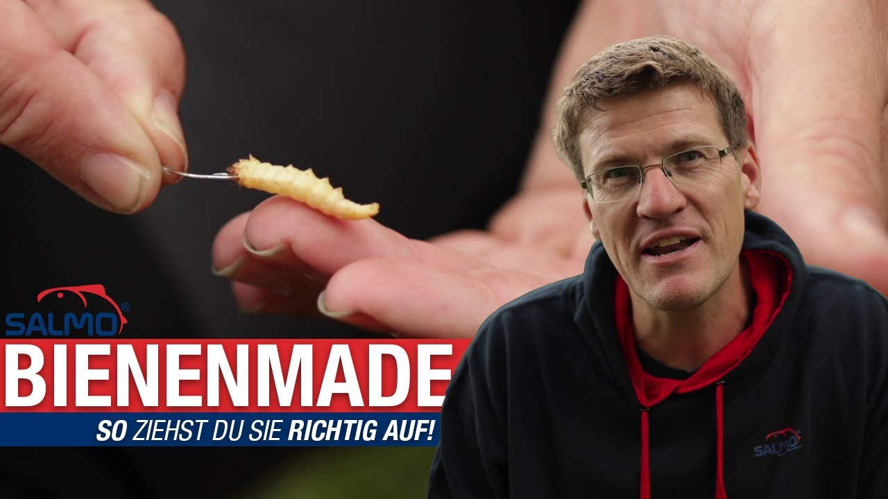 Bienenmade richtig aufziehen: Gregor Bradler erkl&auml;rt's!🐝