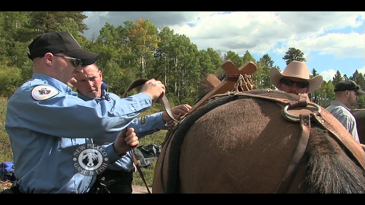 NMDGF Horse Packing School