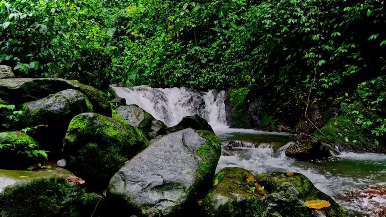 Relaxing River Sounds with Birds Singing — 9 Hours Nature Sounds for Sleep & Relaxation