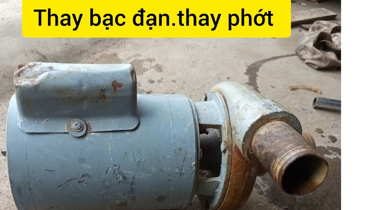 Hướng dẫn thay bạc đạn phốt máy bơm nước .cơ hội học nghề miễn phí @Dạy nghề điện cơ.điện dân dụng online