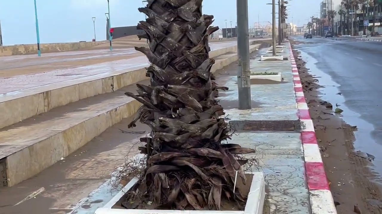 الرعب فمهدية