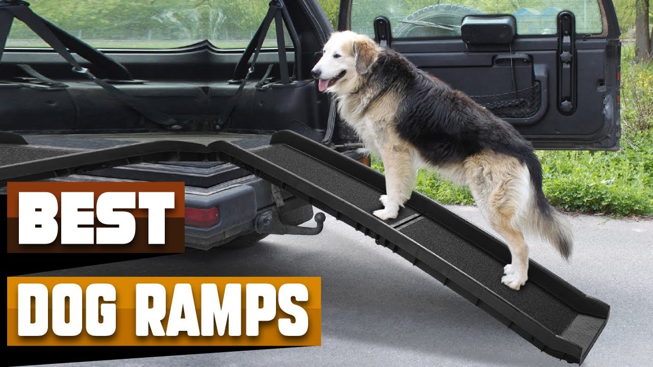 Best Dog Ramps In 2026 - Top 10 Dog Ramps Review