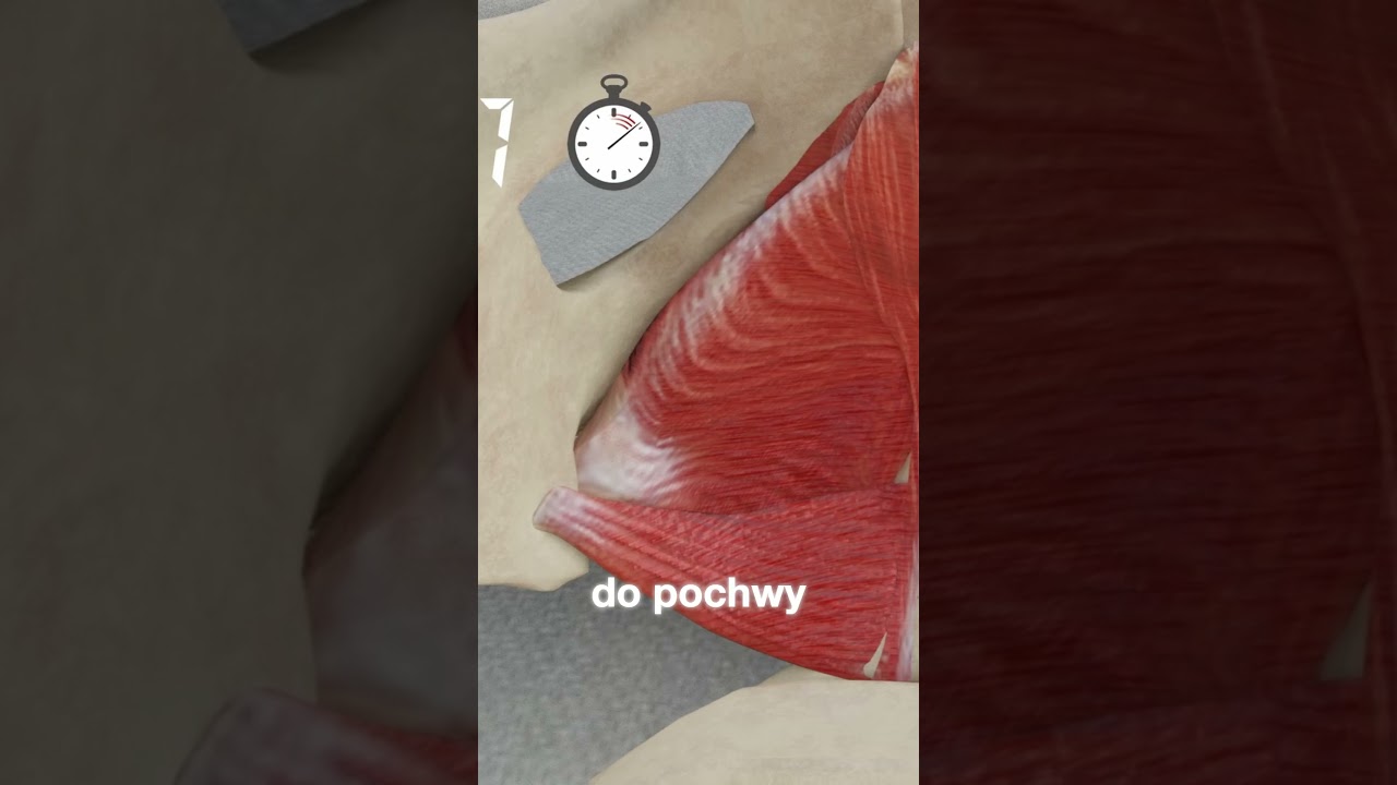 Ćwiczenia mięśni pochwy i odbytu