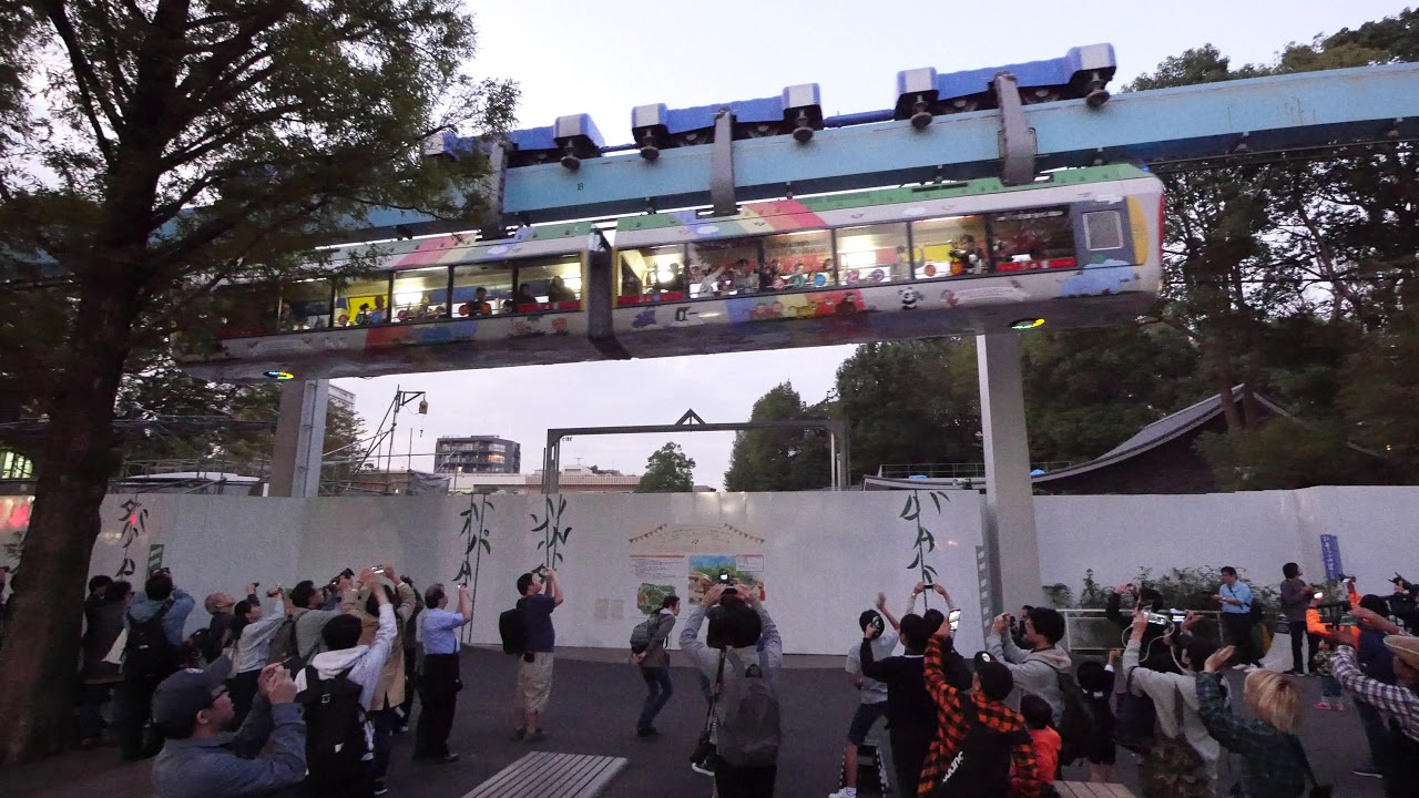 【4K】2019/10/31 上野動物園40形モノレール ラストラン（最終列車）