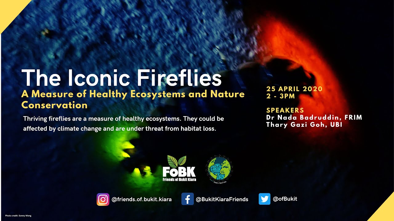 [Webinar] The Iconic Fireflies: A Measure of Healthy Ecosystems and Nature Conservation