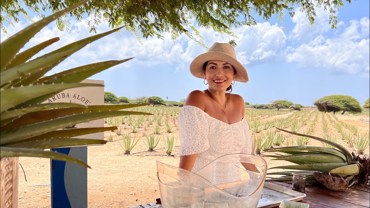 F&aacute;brica de Aloe Ver&aacute; en Aruba