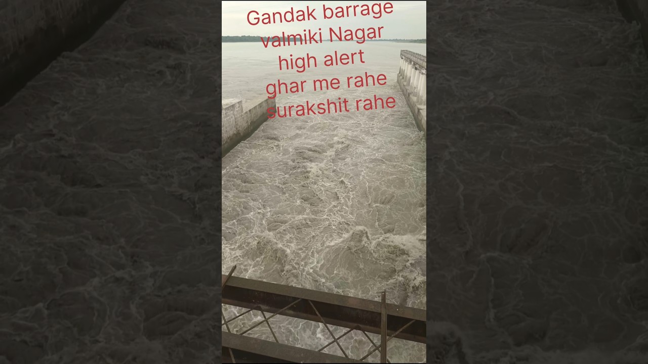 gandak barrage high alert #viral #alart #khatra #trending #shorts #shortvideo #viralvideo #trending
