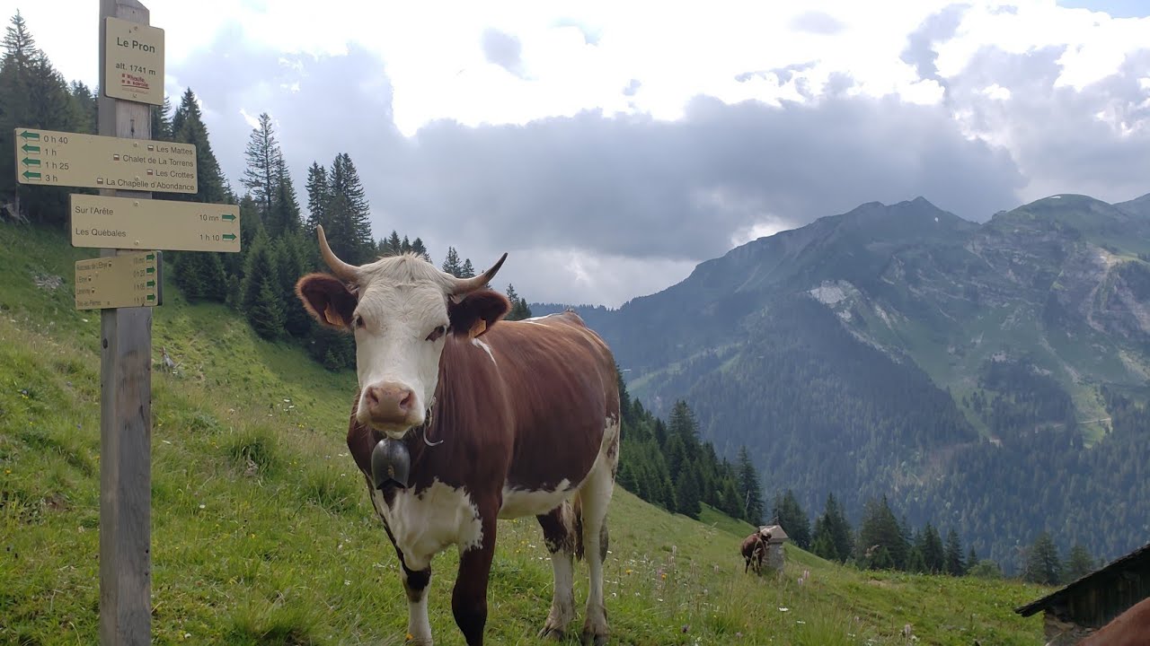 GR5 (I): Lake Geneva to Samoëns