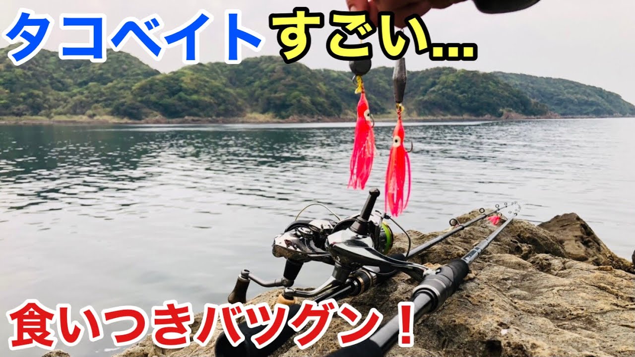 食いつきバツグン！釣れると話題のタコベイトで良型連発！