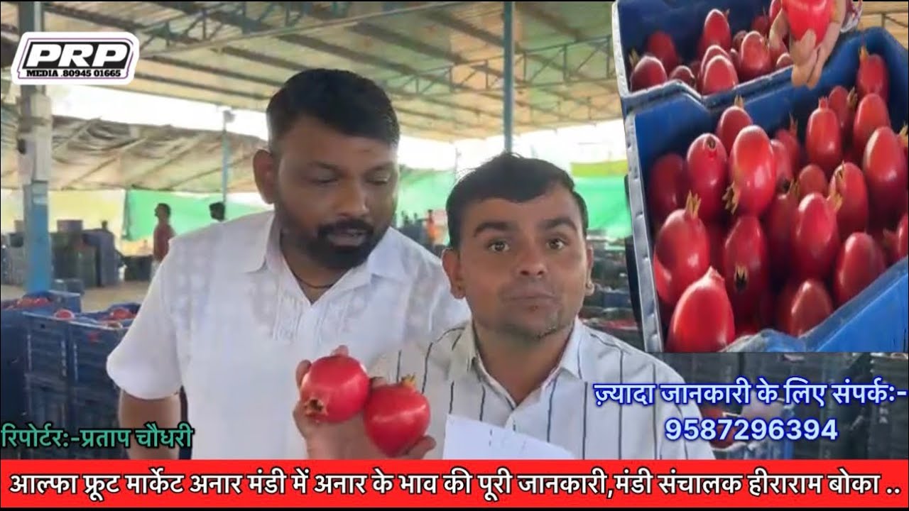 जीवाणा आल्फा फ्रूट मार्केट अनार मंडी में अनार के भाव की पूरी जानकारी..कितने ₹ तक बिकी अनार..
