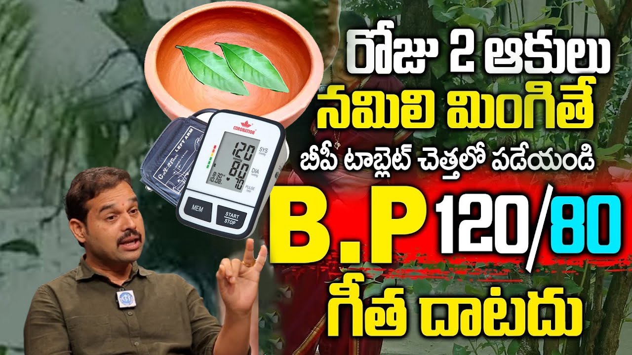 2 ఆకులు చాలు రెప్పపాటులో తగ్గి జన్మలో BP మీ గుమ్మం కూడా తొక్కలేదు | Blood Pressure | Dr Dileep kumar
