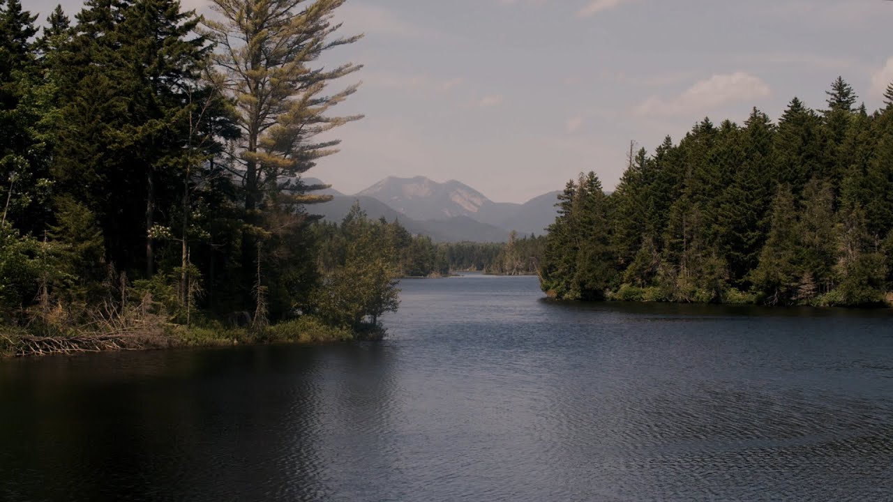 Boreas & Hudson