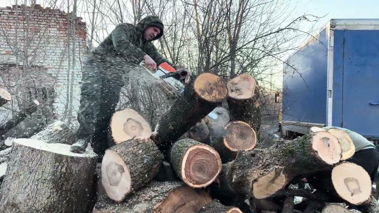 STIHL MS 361 vs MS 462 C
