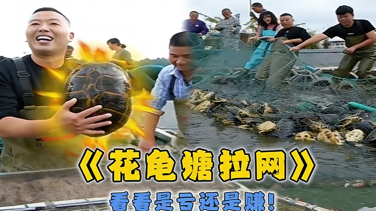 花11萬在花龜塘拉一網，看看是虧還是賺...#戶外 #魚塘 #抓魚 #甲魚 #fishing