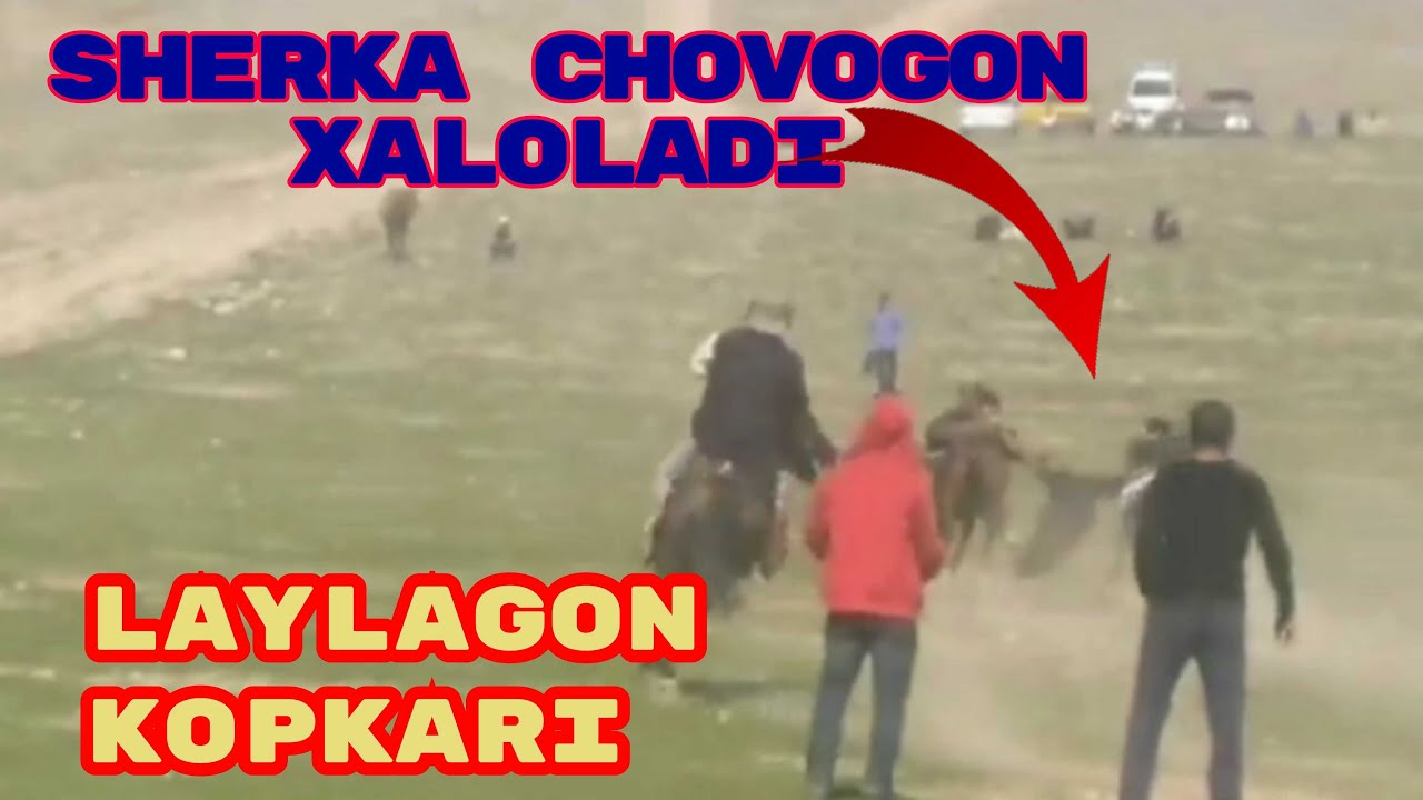 LAYLAGON KOPKARI