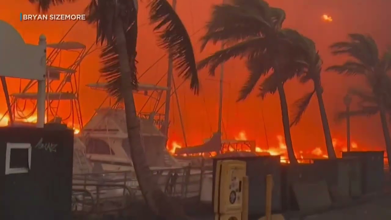 Lahaina boat captain being hailed a hero
