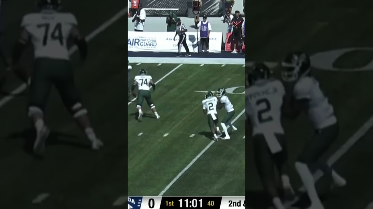 Stingers Up 🐝 #sacramentostate #hornets #ncaa #fcs #collegefootball #bigsky #touchdown #highlight