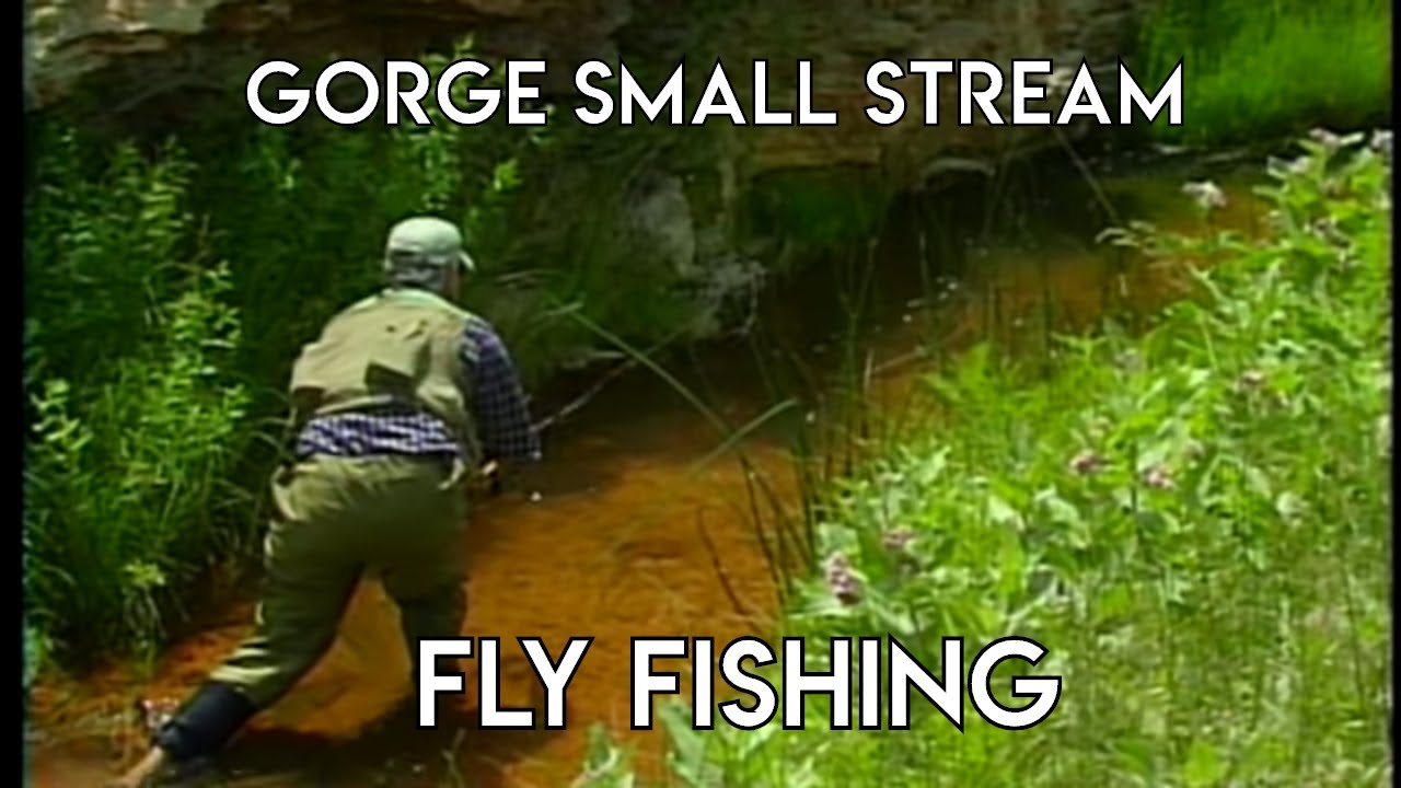 Wyoming Small Stream Fly Fishing in Gorges