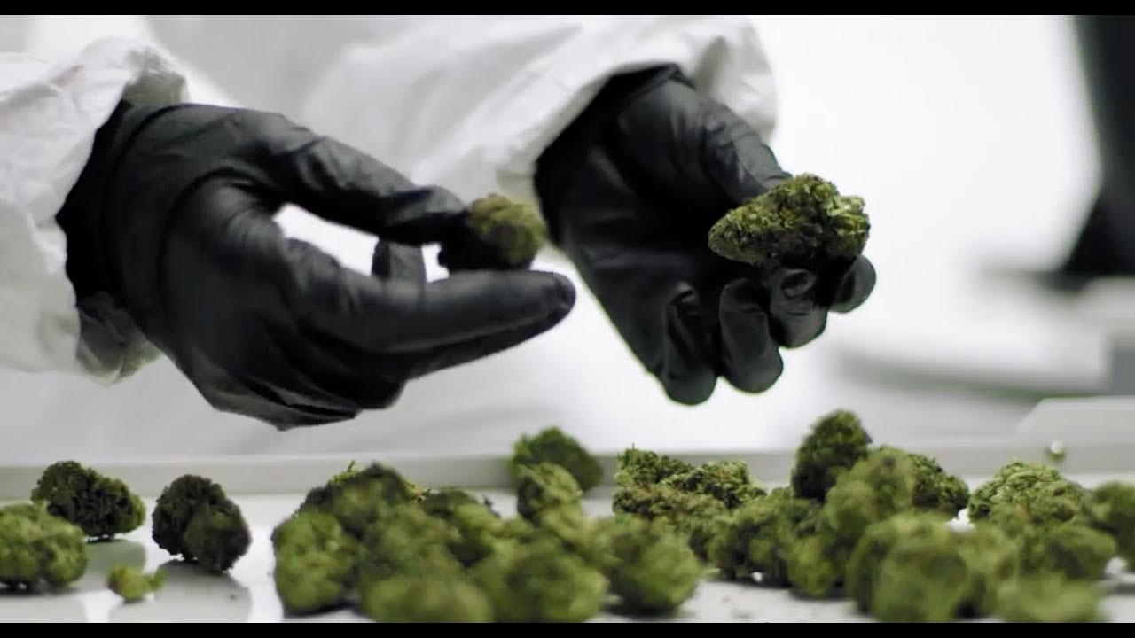 Twister T2 - Optimizing Your First Use:  Dry Trimming