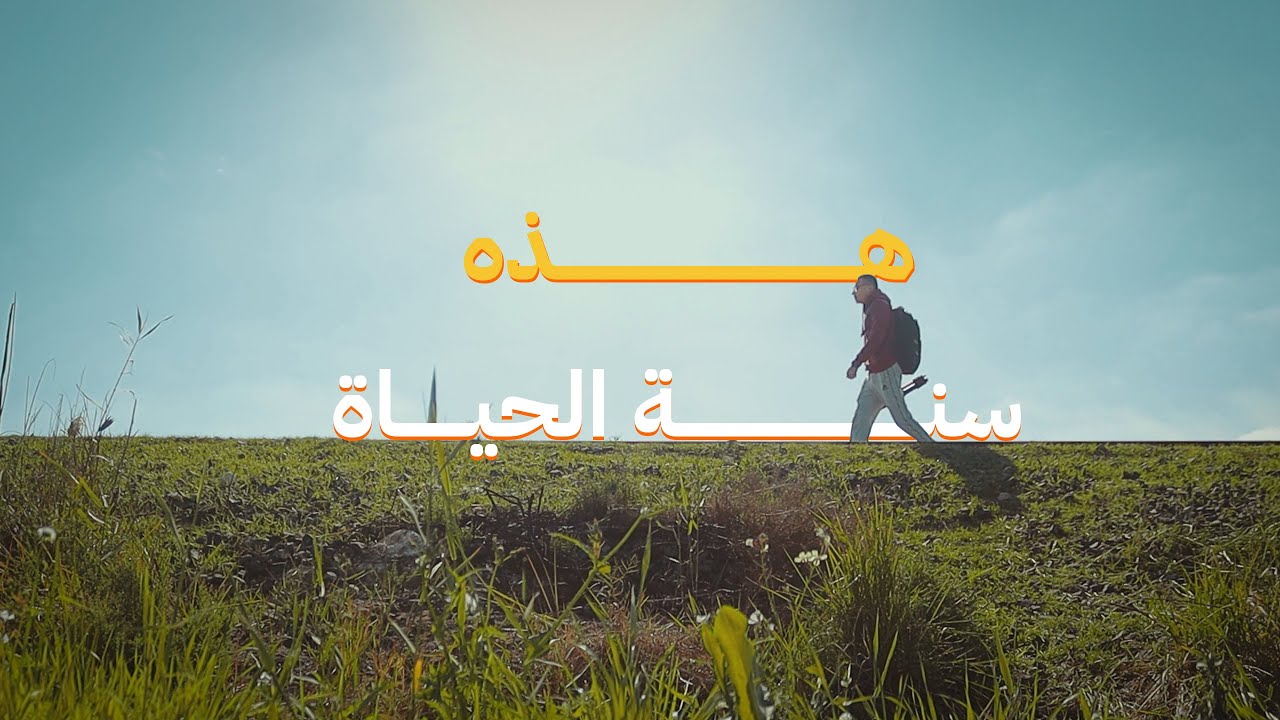 مش بتمشي زي ما أنت عايز!