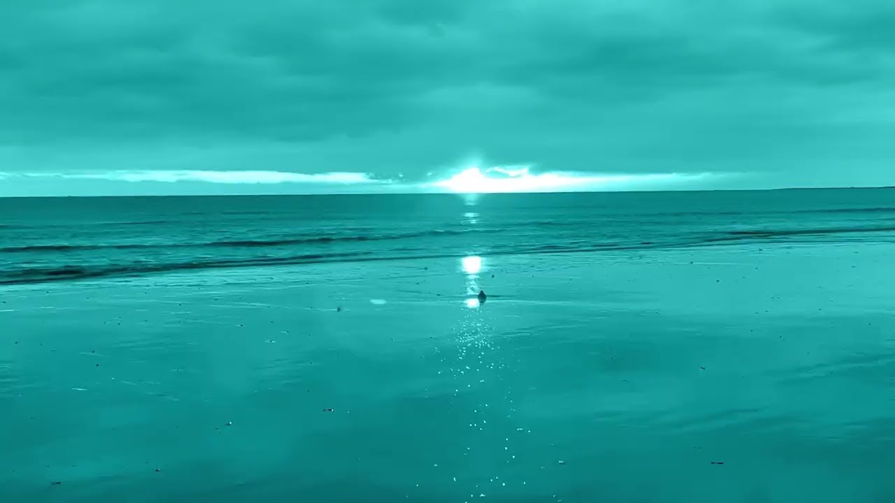 Nurture (Music Video) - Alex Lustig