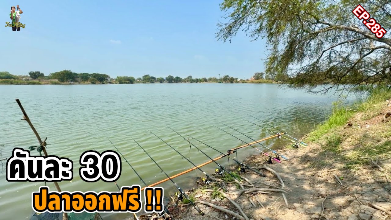 ตกปลาบ่อธรรมชาติ “ค่าคันถูก ปลาออกฟรีทั้งบ่อ” ไม่ต้องชั่ง จอดรถแล้วนั่งตกได้เลย