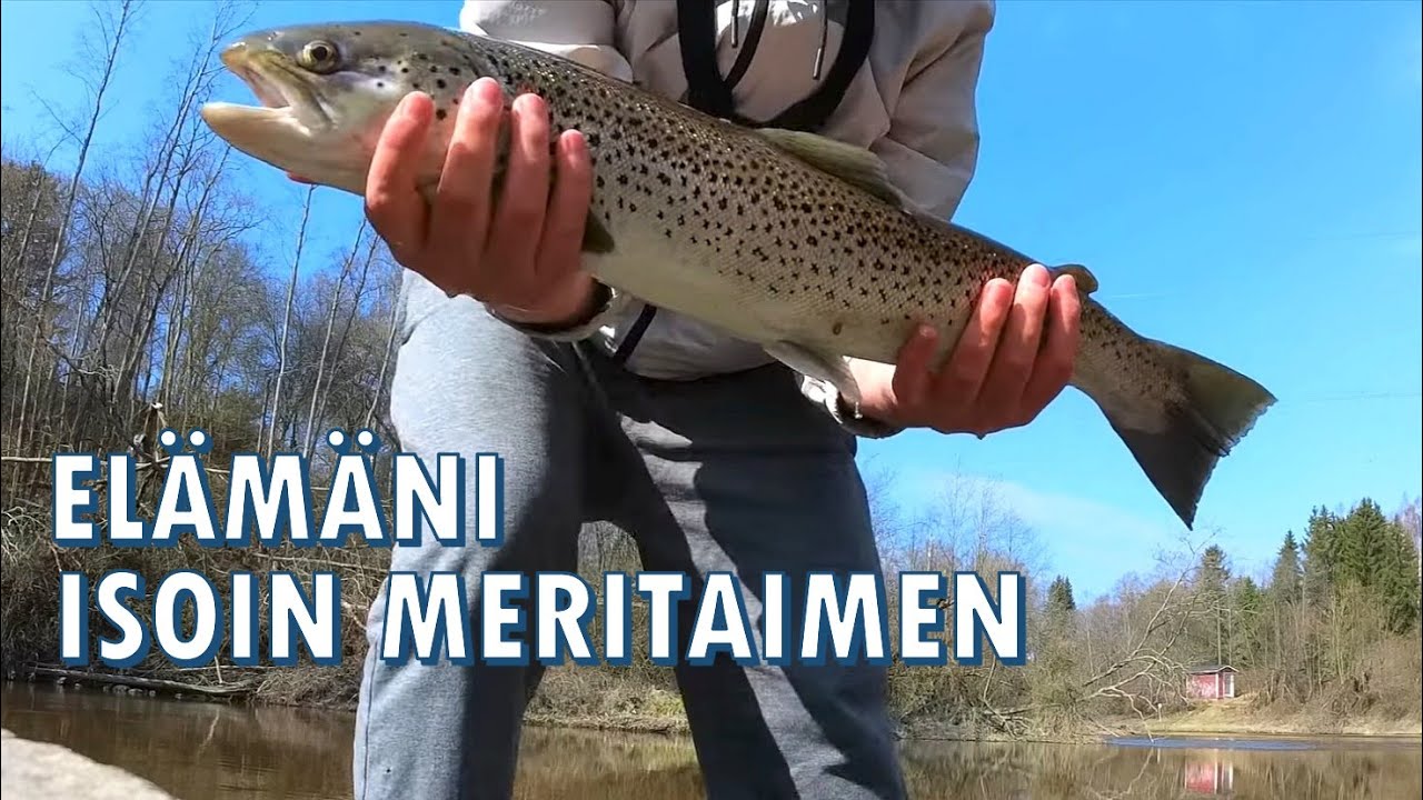 Unelmien Kala Vantaankoskelta