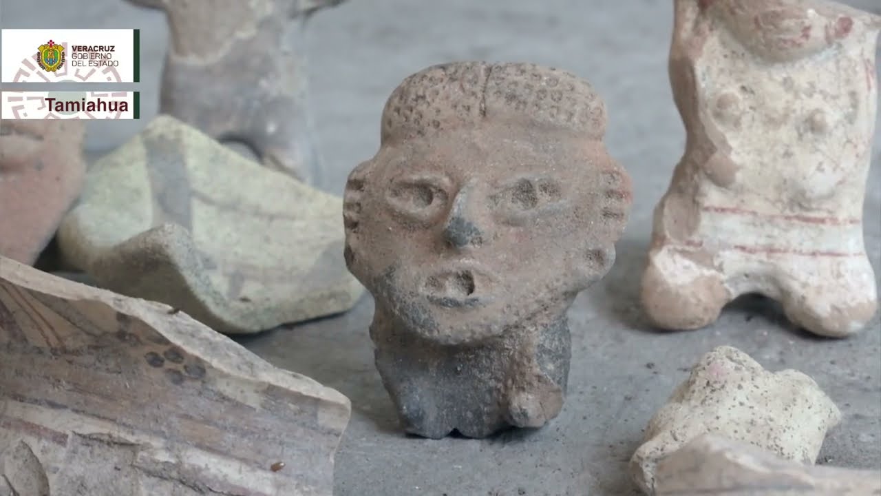 Orgullo Veracruzano - Tamiahua