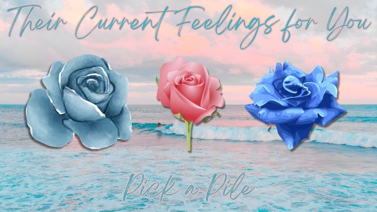 🌹 Their Current Feelings for You 🌹 Pick-a-Pile Reading