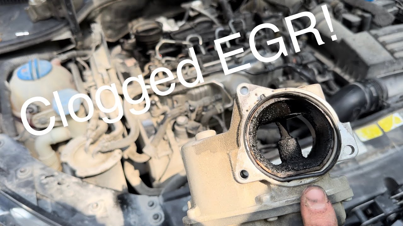 Как очистить EGR на MK6 TDI!