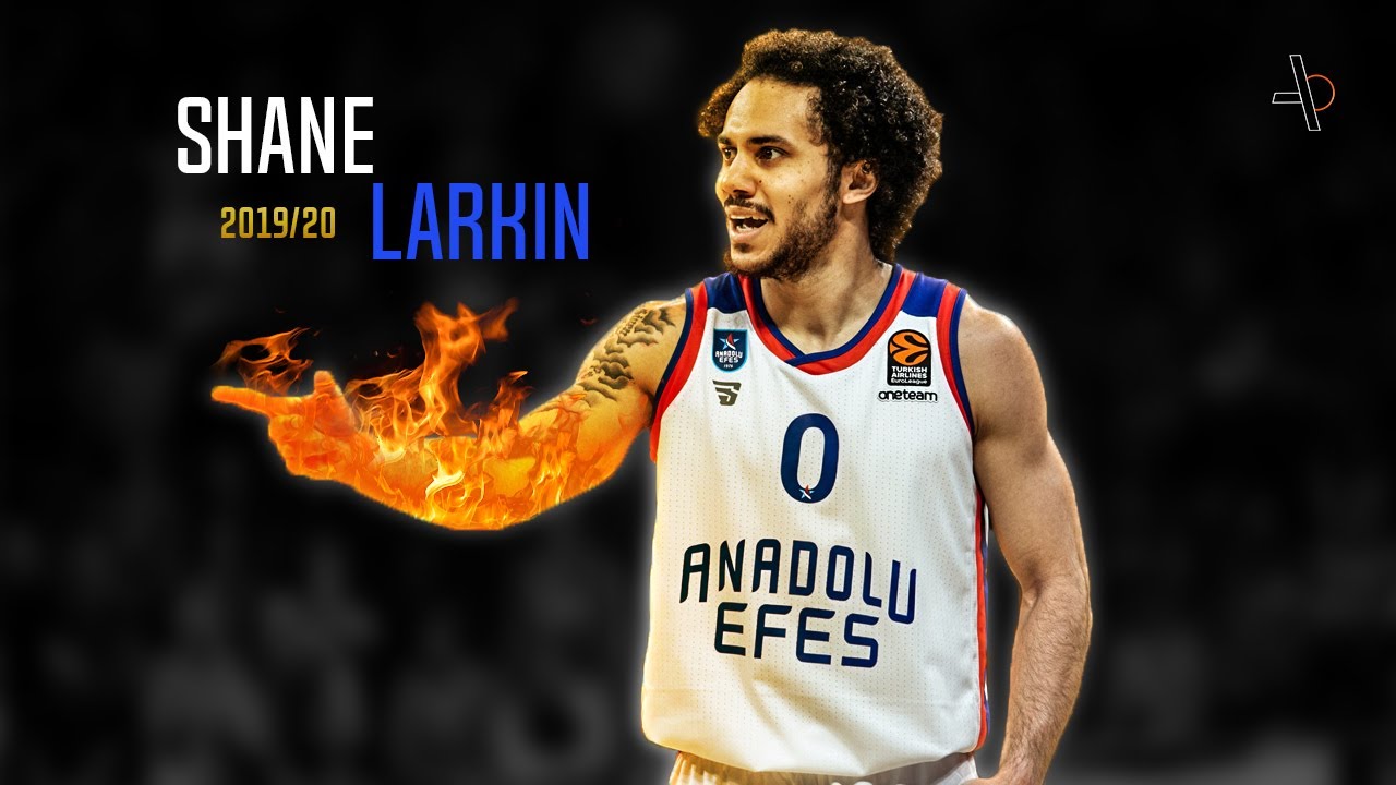 Shane Larkin 2019-2020 Highlights ● MVP Season