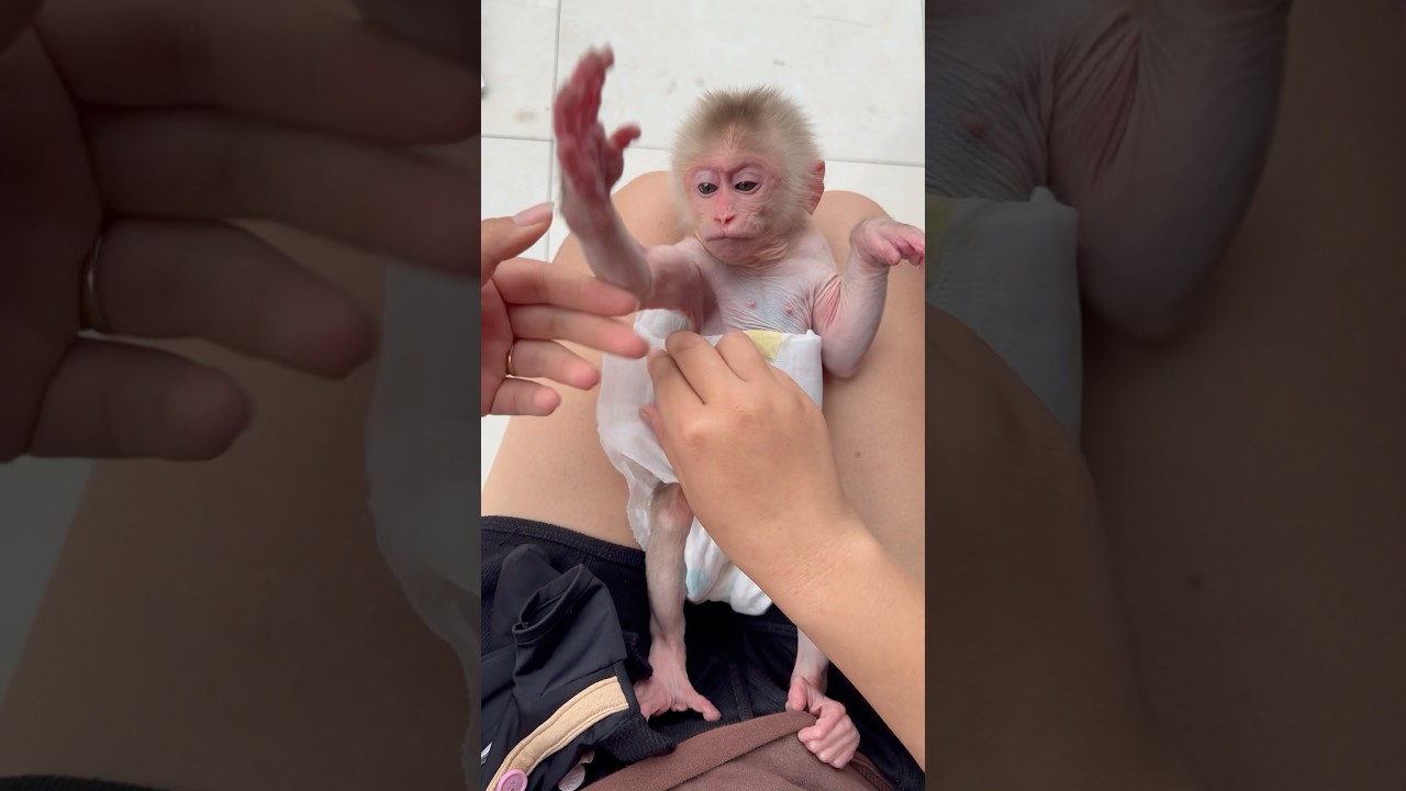 Mom puts diapers on baby