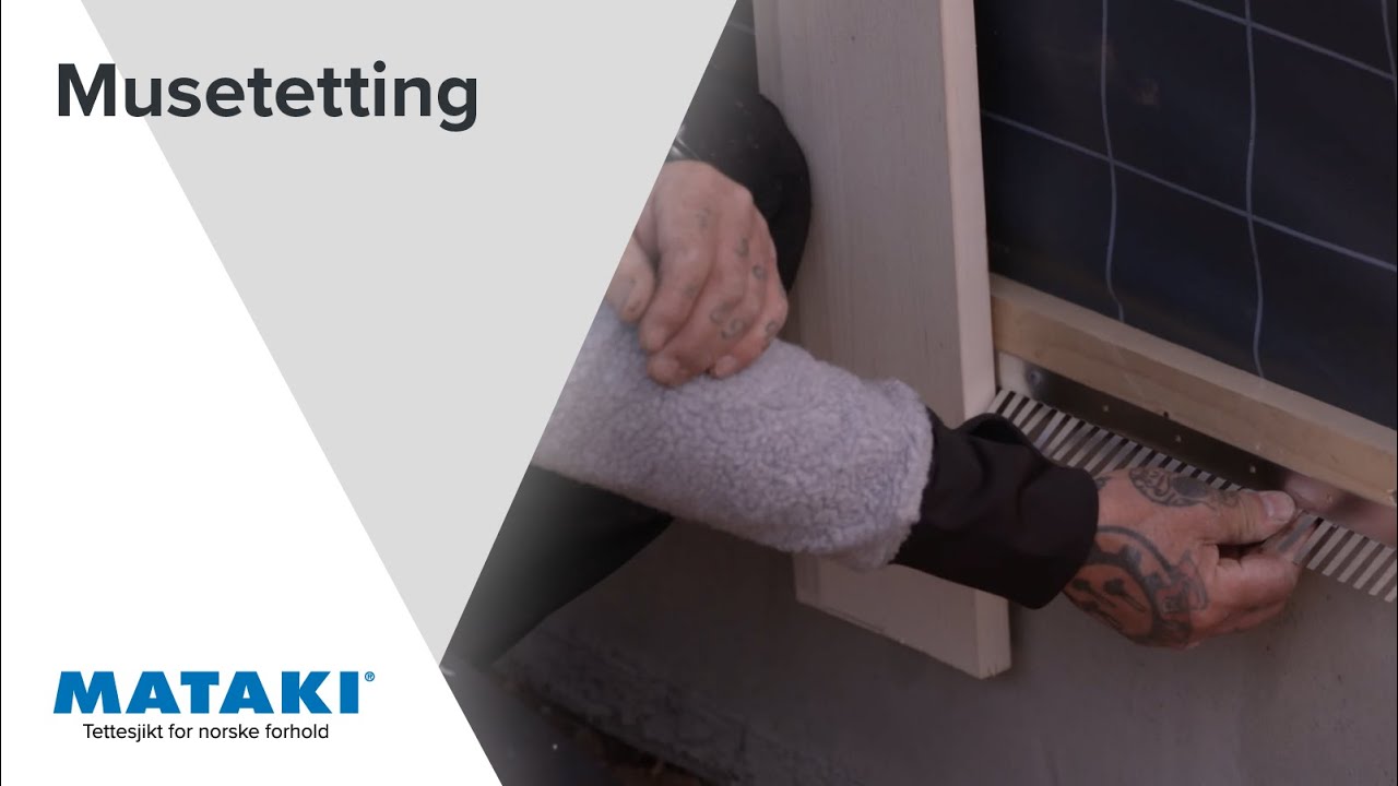 Musetetting | Rehabilitering
