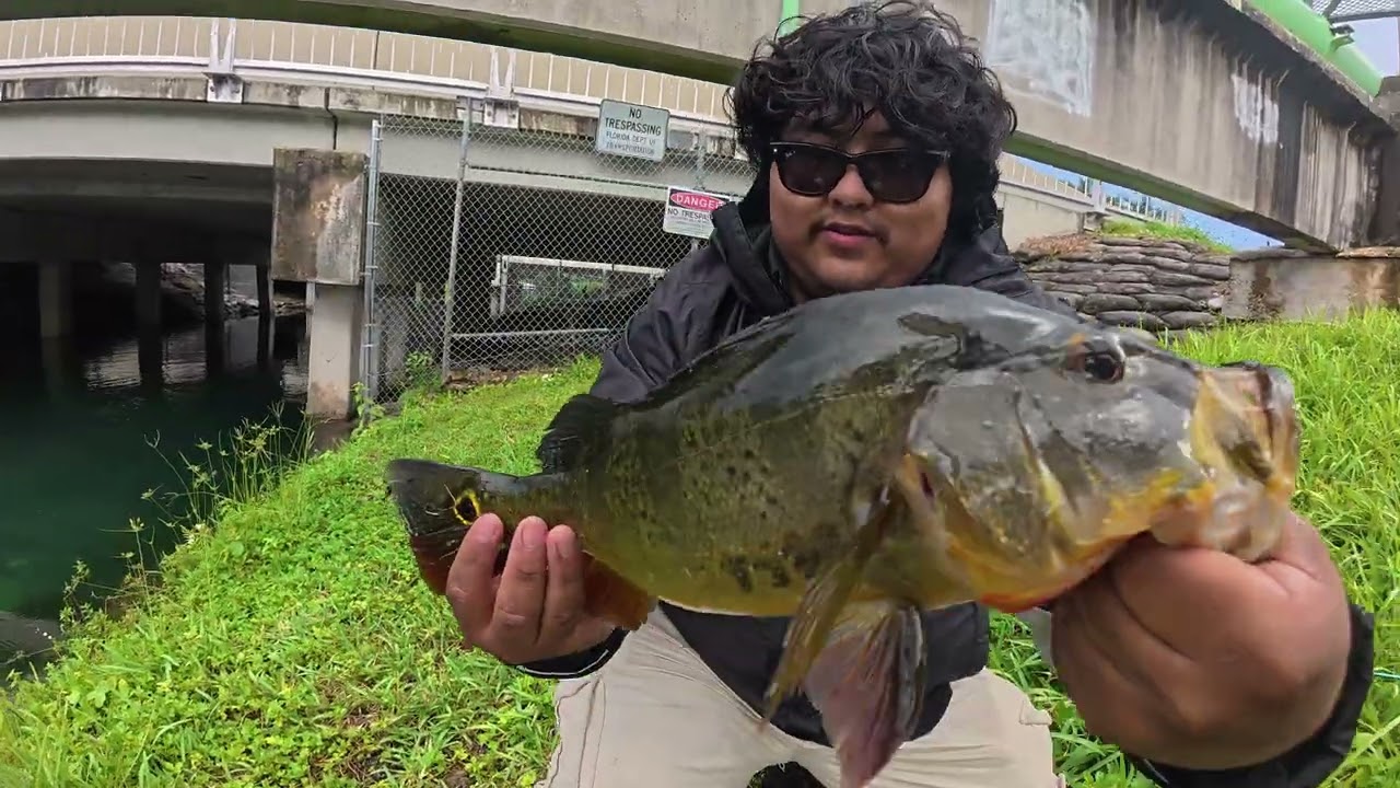Fishing New Spots! Florida Exotics Caught!