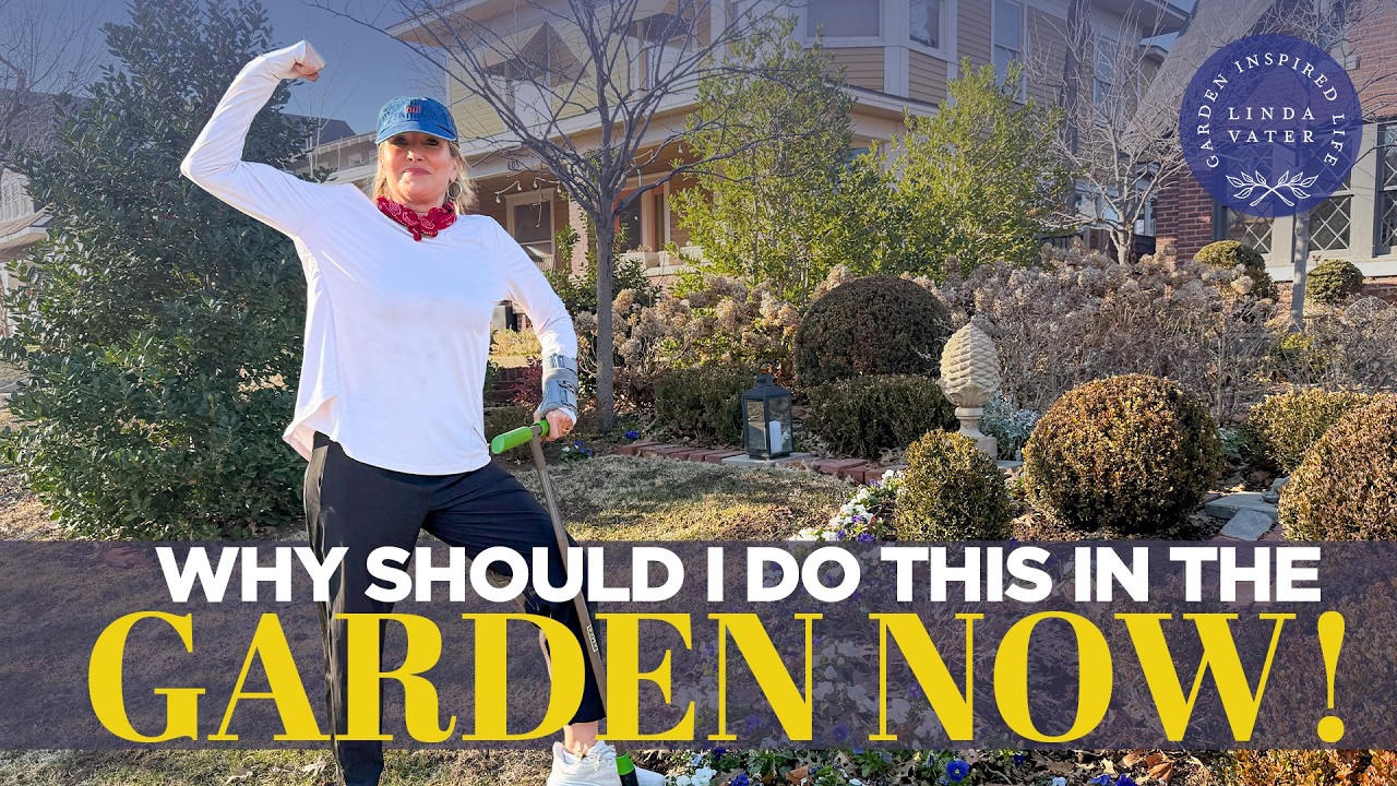 Why Should I Do This In The Garden Right Now? | Linda Vater 🌿