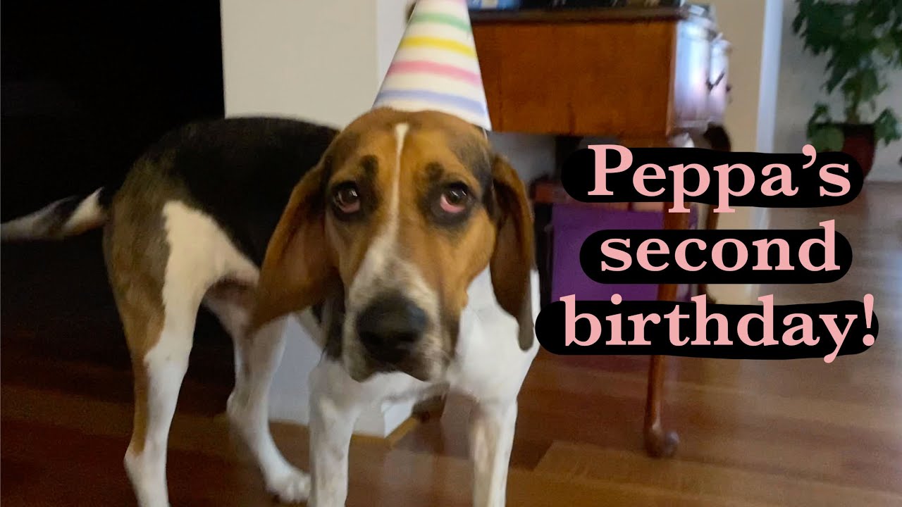 PEPPA'S SECOND BIRTHDAY