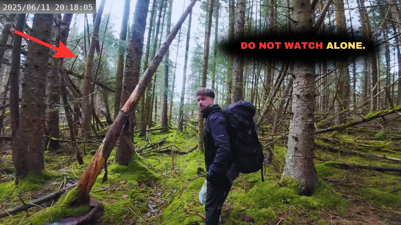 6 Most Shocking Wilderness Encounters Ever Caught On Camera