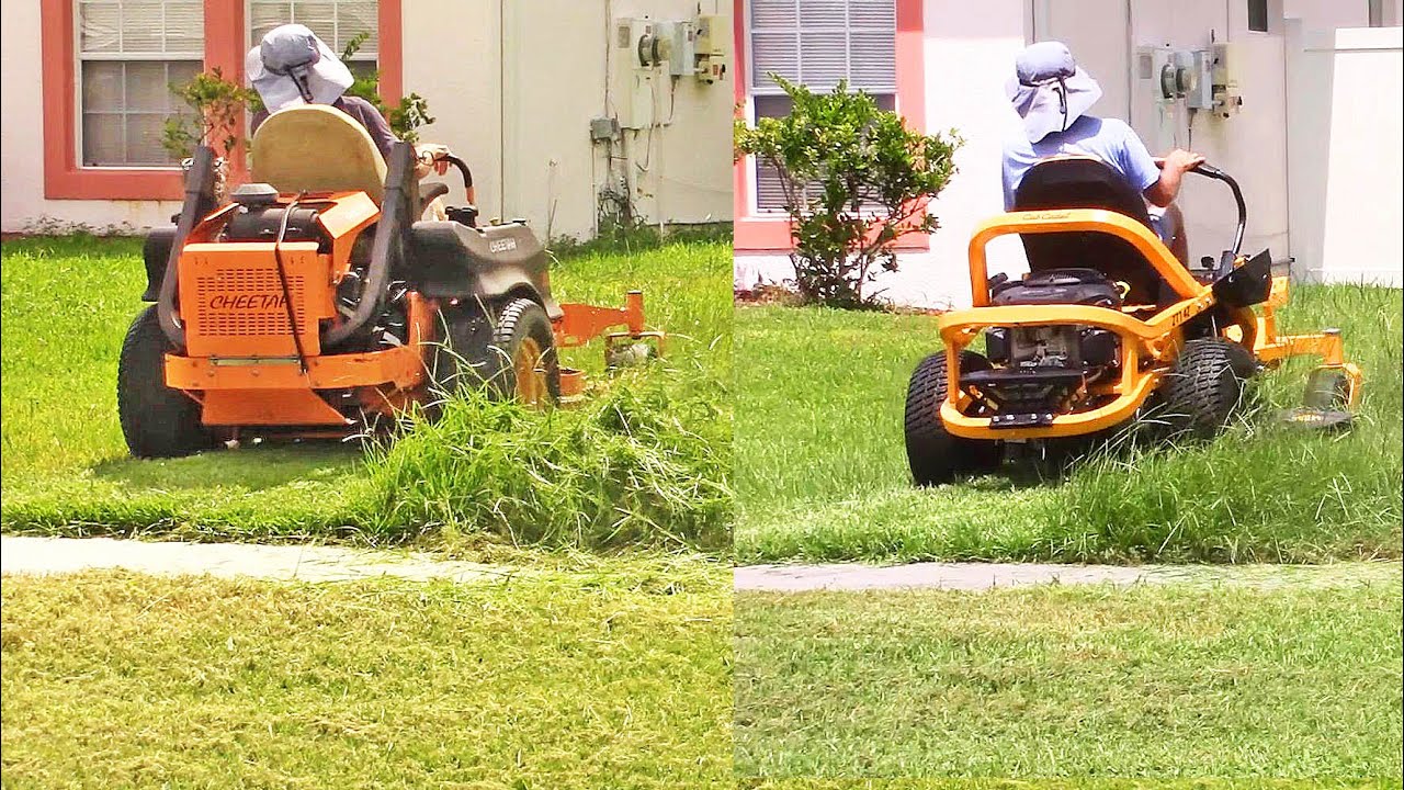 Cheetah and Cub Cadet ZT1 Mowing Same Overgrown Lawn a Year Apart