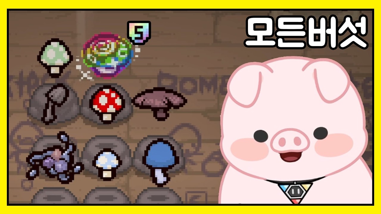 버섯에 5등급이 있어!?