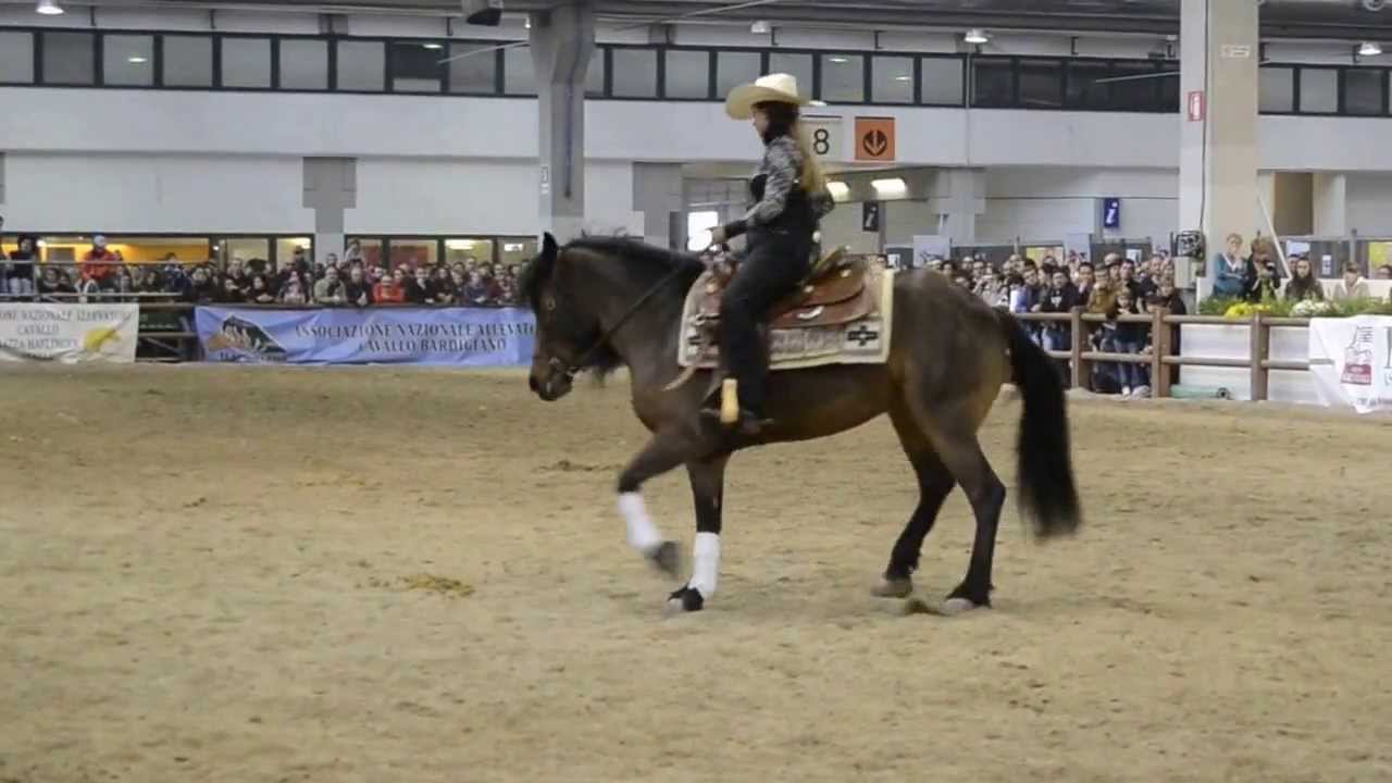 Reining con cavallo Bardigiano a Fiera Cavalli Verona 2013- Let Me Go_Avril Lavigne e Chad Kroeger-